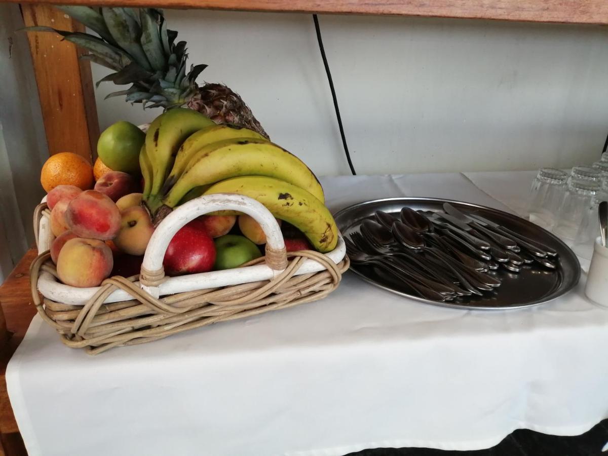 Casa Alevines Hostel & Suites Пунта дел Есте Екстериор снимка